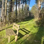 Apartamento Haus Voglreiter *