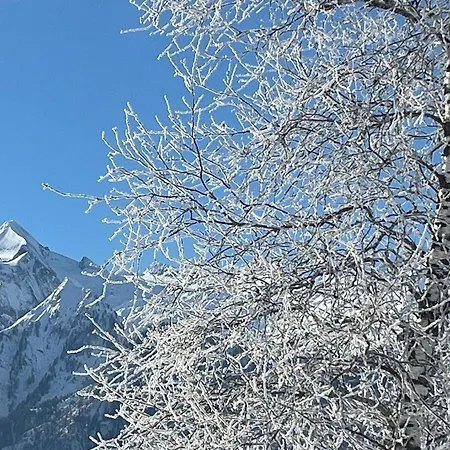 Apartamento Haus Voglreiter Kaprun