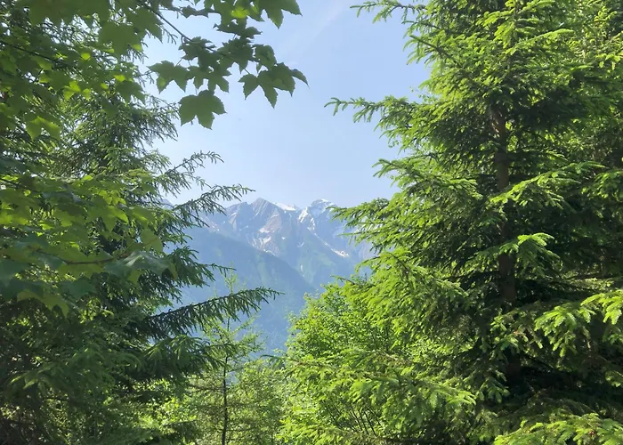 Haus Voglreiter * Kaprun