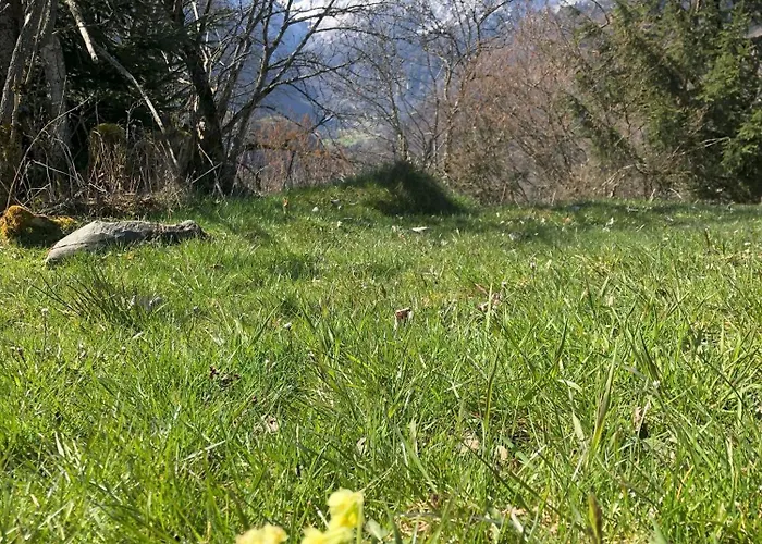 Haus Voglreiter Lejlighed