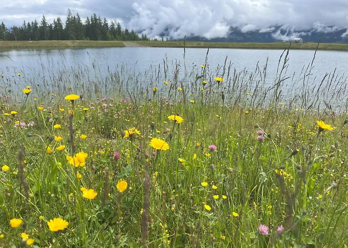 Haus Voglreiter Lejlighed